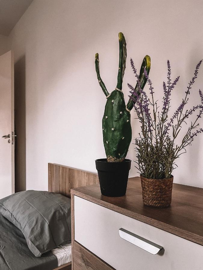 Cozy 3 Bedrooms Flat In Paceville Saint Julian's Ngoại thất bức ảnh